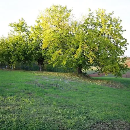 Vakantiehuis Beatrice